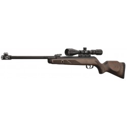 GAMO - HUNTER 440 AS + LUNETTE