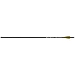 SECURA SILVER 300 6.2 - ROLAN