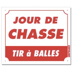 JOUR DE CHASSE - TIR À BALLES