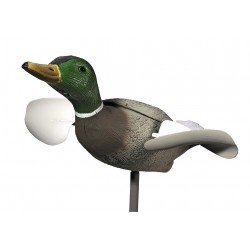 Appelant CANARD COLVERT EN VOL - PISTEURS