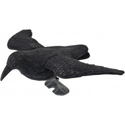 Appelant CORBEAU FLOQUÉ EN VOL