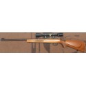 CARABINE A VERROU ANSCHUTZ 1516 CALIBRE 22WIN MAG + LUNETTE BUSHNELL BANNER 4X40
