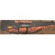 PACK TIKKA T3X CALIBRE 30-06