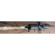 CARABINE A VERROU WINCHESTER XPR HUNTER MOBUC CALIBRE 308 WIN + LUNETTE LYNX 3-12X56 OCCASION