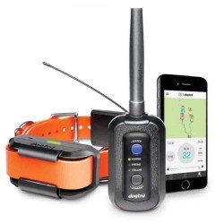 DOGTRA PATHFINDER DRESSAGE ET REPERAGE